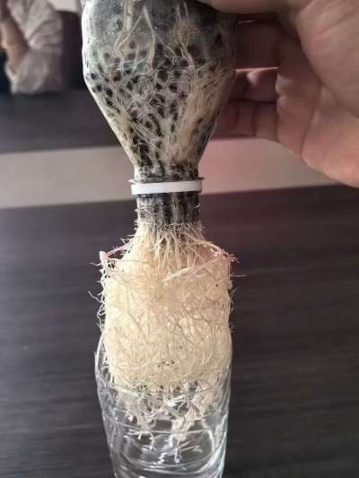 年销售量三十万吨的有机肥生产厂家，全国网点发货，资质齐全，正品保障！有机肥、生物菌肥、微生物肥料等