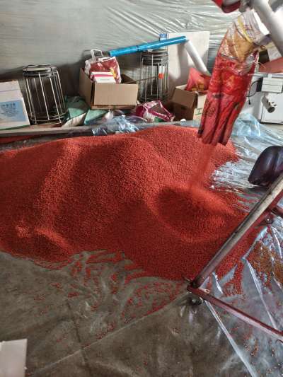 四冠包衣拌种，防虫防病壮苗增产。