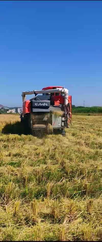 惠州基地，无人拖拉机收水稻了。