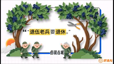 第7节：修剪决定产量（下）&mdash;&mdash;结果树的更新与疏果，课程：《蓝莓&ldquo;高产&rdquo;实战课：从选苗到丰收的10个关键点》