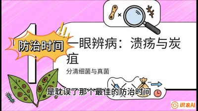 第三节：细菌与真菌&mdash;&mdash;溃疡病与炭疽病，课程：《柑橘十大病虫害：从入门到精通》
