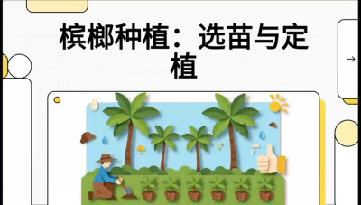 第01节：选苗与定植&mdash;&mdash;&ldquo;苗好一半收，底肥定千秋&rdquo;课程：《槟榔种植：从不懂到精通的10堂必修课》