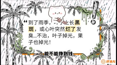 第05节：常见真菌病害&mdash;&mdash;&ldquo;炭疽与烂心，早防值千金&rdquo;《槟榔种植：从不懂到精通的10堂必修课》