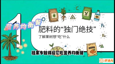 第07节：科学施肥&mdash;&mdash;&ldquo;氮磷钾配好，树壮果不倒