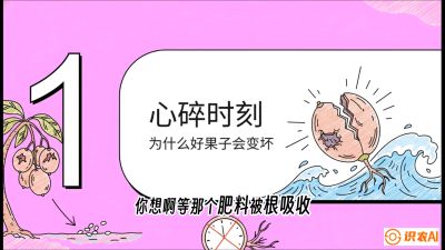 第08节：微量元素与保果&mdash;&mdash;&ldquo;补硼又补钙，果子不裂坏&rdquo;《槟榔种植：从不懂到精通的10堂必修课》