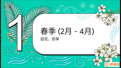 第10节：周年农事日历&mdash;&mdash;&ldquo;跟着节气走，丰产在手头&rdquo;《槟榔种植：从不懂到精通的10堂必修课》