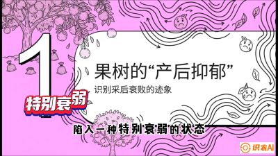 第2节：【冬肥策略】采后&ldquo;月子肥&rdquo;：大小年的精准干预术，课程：《柑橘底肥&ldquo;翻身账&rdquo;：从改土到高产的实战全书》