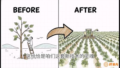 第02节：把树变成草&mdash;&mdash;&ldquo;草本化密植&rdquo;技术，课程：《桑海淘金：桑树高产与蚕桑安全进阶实战课》