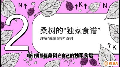 第04节：地下核动力&mdash;&mdash;桑树专用水肥一体化配方，课程：《桑海淘金：桑树高产与蚕桑安全进阶实战课》