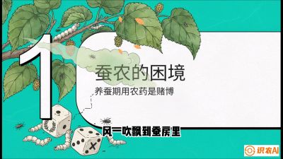 第06节：虫口夺叶（上）&mdash;&mdash;物理与生物防控绝技，课程《桑海淘金：桑树高产与蚕桑安全进阶实战课》