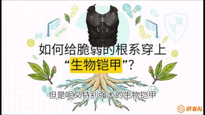 第三节：国产榴莲突围战：根系堡垒，菌根微生态构建与黄金定植窗口，课程：《国产榴莲突围战：从泰国经验到中国实操的8堂必修课（高阶实战版）》