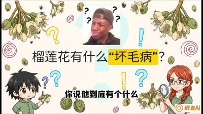 第六节：榴莲的午夜战事，夜间授粉战与花果期避雨策略，课程：《国产榴莲突围战：从泰国经验到中国实操的8堂必修课（高阶实战版）》