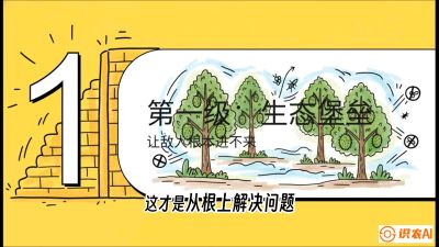 第七节：榴莲防御战：病虫害三级立体防控，疫霉菌与虫害的立体封锁线，课程：《国产榴莲突围战：从泰国经验到中国实操的8堂必修课（高阶实战版）》