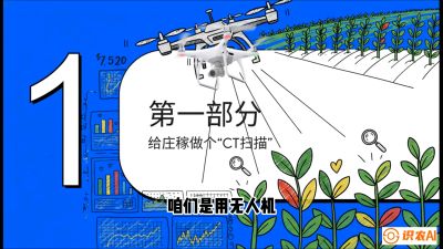 第5节：无人机也能&ldquo;看病抓药&rdquo;&mdash;&mdash;处方图与变量施肥入门，课程：《无人机植保搞钱必修课：从&ldquo;瞎飞&rdquo;到&ldquo;懂行&rdquo;的6步进阶》