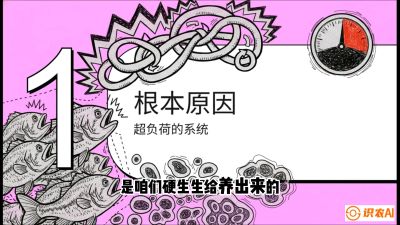 第三节：【爆款单品&middot;加州鲈】从&ldquo;玻璃鱼&rdquo;到&ldquo;摇钱树&rdquo;的通关秘籍，课程：《黄金鳞甲：2025中国淡水鱼高效养殖实战营》
