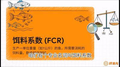 第五节：【高端单品&middot;鳜鱼】&ldquo;饲料鳜&rdquo;技术：打破吃活饵的高成本魔咒，课程：《黄金鳞甲：2025中国淡水鱼高效养殖实战营》