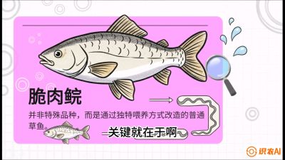 第六节：【老品升级&middot;脆肉鲩】如何让草鱼身价翻倍？，课程：《黄金鳞甲：2025中国淡水鱼高效养殖实战营》