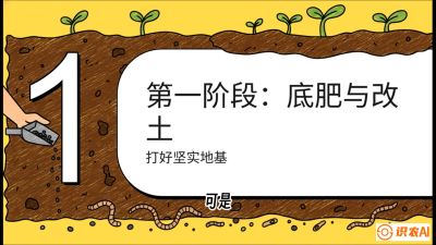 第6节（统筹篇）： 省钱又增产的&ldquo;黄金配比&rdquo;&mdash;&mdash;不同作物全年的养土实操方案，课程：《揭秘土壤的秘密：让土地帮你赚钱》#识农AI