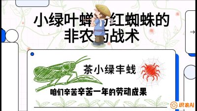 第03节（虫害篇）：看不见的吸血鬼：小绿叶蝉与红蜘蛛的&ldquo;非农药&rdquo;团灭战术（抗性治理），课程：《茶金时代：从&ldquo;看天吃饭&rdquo;到&ldquo;精准控局&rdquo;的茶叶高产提质实战课》