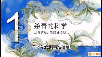 第05节（加工篇）：决胜2分钟：用&ldquo;数字温控&rdquo;破解杀青不匀，复刻大师级手工口感，课程：《茶金时代：从&ldquo;看天吃饭&rdquo;到&ldquo;精准控局&rdquo;的茶叶高产提质实战课》