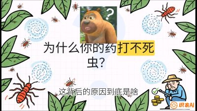 第4节：【虫害歼灭战】打不死的蓟马、隐形的茶黄螨：抗性时代的&ldquo;混配绝杀&rdquo;，课程：《辣椒种植实战特训营，从工业辣椒到精品小米辣，教你如何把&ldquo;草&rdquo;种成&ldquo;金&rdquo;》