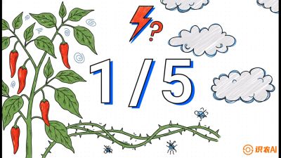 第6节：【花果爆发术】落花落果的五大元凶，与&ldquo;三喷一保&rdquo;坐果黑科技，课程：《辣椒种植实战特训营，从工业辣椒到精品小米辣，教你如何把&ldquo;草&rdquo;种成&ldquo;金&rdquo;》