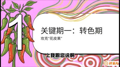 第8节：【小米辣线椒专场】颜值即正义！防花皮、防炭疽，打造收购商抢着要的&ldquo;精品果&rdquo;，课程：《辣椒种植实战特训营，从工业辣椒到精品小米辣，教你如何把&ldquo;草&rdquo;种成&ldquo;金&rdquo;》