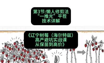 第三节： 懒人修剪法&mdash;&mdash;&ldquo;一推光&rdquo;平茬技术详解，课程：《辽宁树莓（海尔特兹）高产避坑实战课：从保苗到高价》