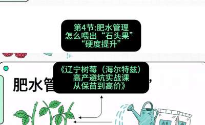 第四节： 肥水管理&mdash;&mdash;怎么喂出&ldquo;石头果&rdquo;（硬度提升），课程：《辽宁树莓（海尔特兹）高产避坑实战课：从保苗到高价》