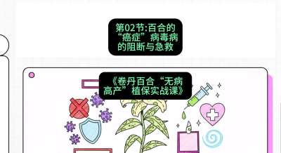 第02节：百合的&ldquo;癌症&rdquo;&mdash;&mdash;病毒病的阻断与急救，课程：《卷丹百合&ldquo;无病高产&rdquo;植保实战课》#识农AI