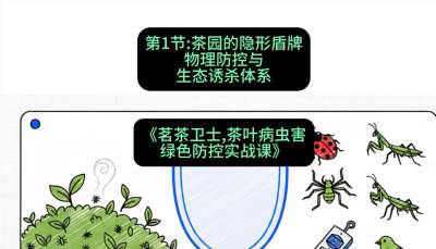第01节：茶园的&ldquo;隐形盾牌&rdquo;&mdash;&mdash;物理防控与生态诱杀体系，课程：《茗茶卫士&mdash;&mdash;茶叶病虫害绿色防控实战课》#识农AI
