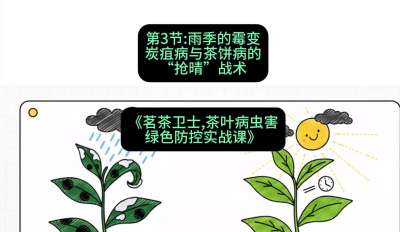 第03节：雨季的霉变&mdash;&mdash;炭疽病与茶饼病的&ldquo;抢晴&rdquo;战术，课程：《茗茶卫士&mdash;&mdash;茶叶病虫害绿色防控实战课》#识农AI