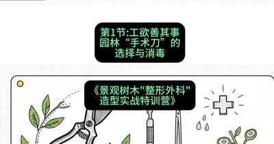 第01节：工欲善其事&mdash;&mdash;园林&ldquo;手术刀&rdquo;的选择与消毒，课程：《景观树木&ldquo;整形外科&rdquo;造型实战特训营》#识农AI