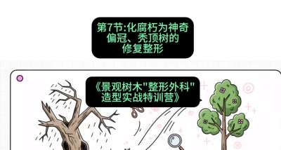第07节：化腐朽为神奇&mdash;&mdash;偏冠、秃顶树的修复整形，课程：《景观树木&ldquo;整形外科&rdquo;造型实战特训营》#识农AI