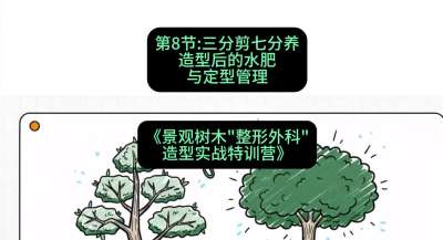 第08节：三分剪七分养&mdash;&mdash;造型后的水肥与定型管理，课程：《景观树木&ldquo;整形外科&rdquo;造型实战特训营》#识农AI